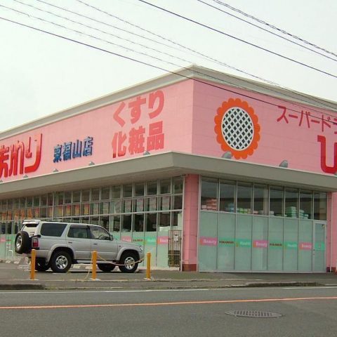 スーパードラッグひまわり東福山店